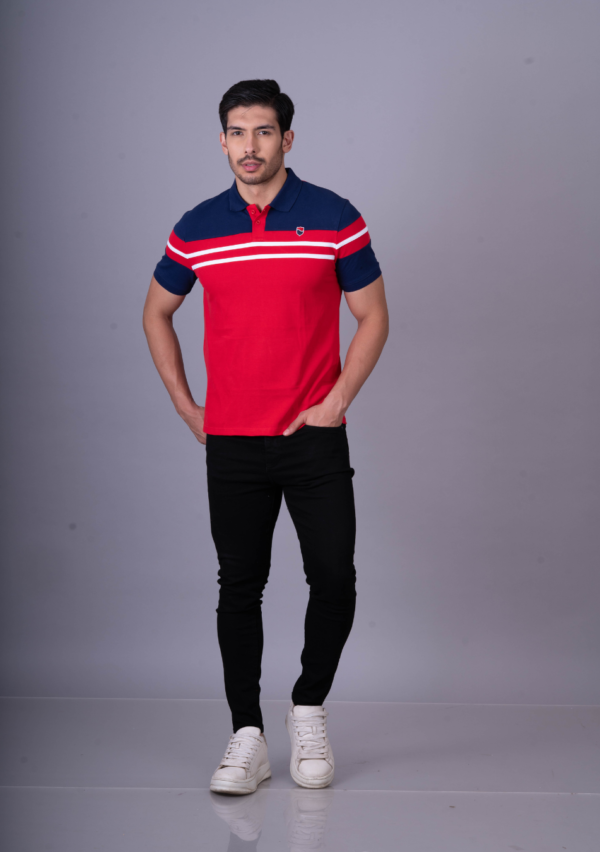 Luxurious Elite Men's Multi- Color Polo